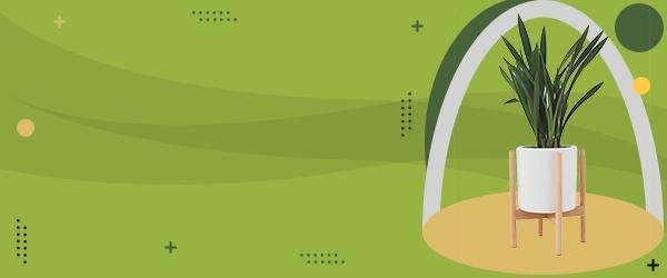 Fashion accessories deals